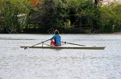 Sculling