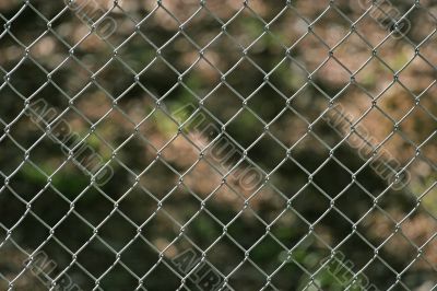 Chain Link