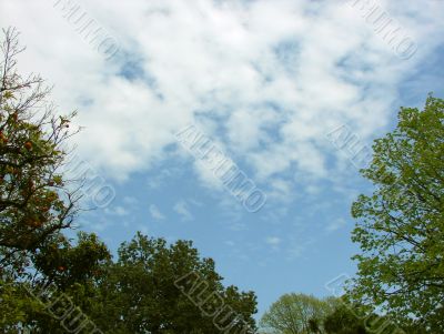 Landscape with the sky. Background