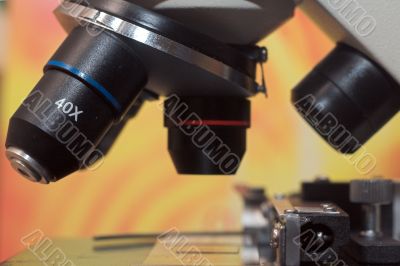 microscope close up