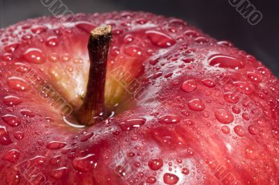 Closeup Of A Red Apple