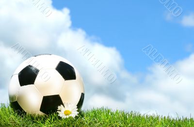 Soccerball with daisy against a blue sky