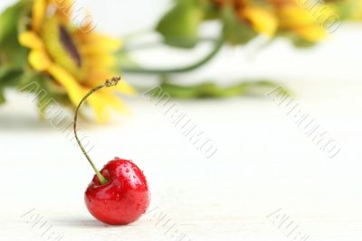 One little cherry