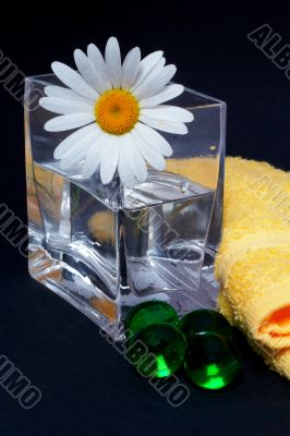 Daisy in the vase and bath pearls