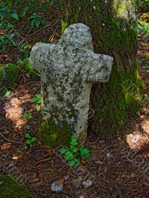 Ancient cross