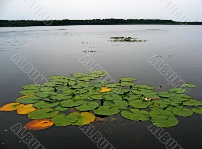 Silent lake
