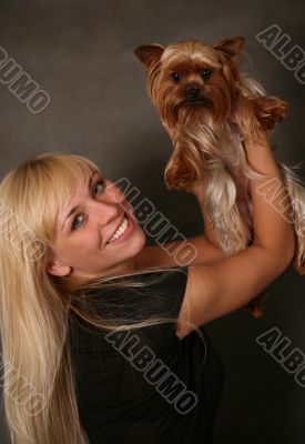 Yorkshire terrier