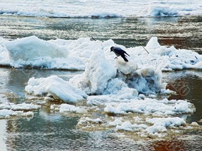 Ice drift