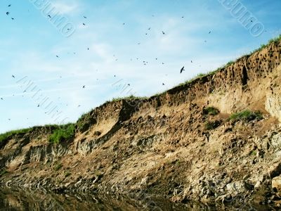 Breakage and birds