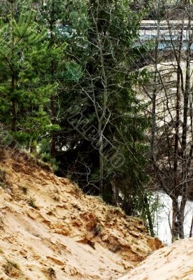 Sand, water, trees and bridge