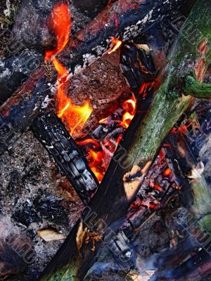 campfire