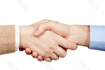 Business handshake