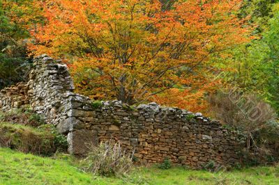 Old walls