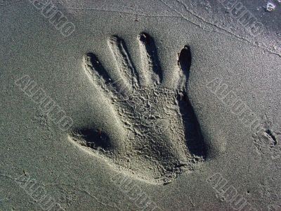 Hand Print