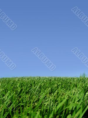 Background of sky and grass