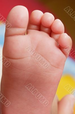 baby foot