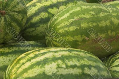 Watermelon
