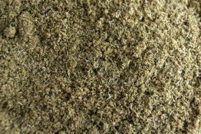 Oregano