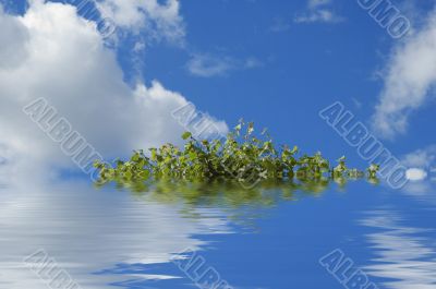 island