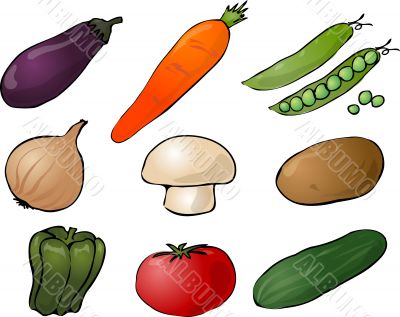 Vegetables illustration