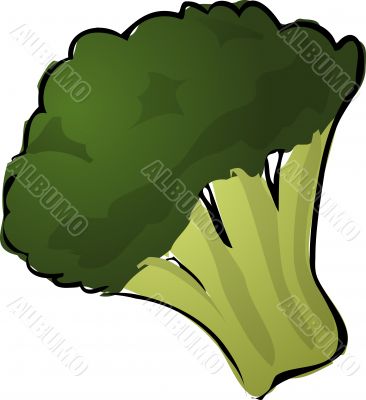 Brocolli