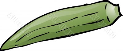 Okra Lady`s Finger