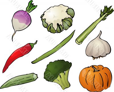 Vegetables illustration