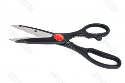 Black scissors