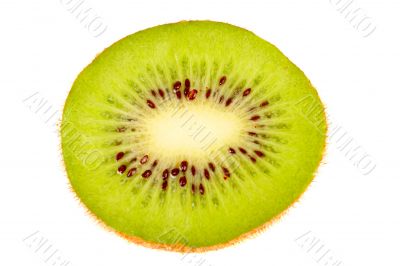 Kiwi fruit