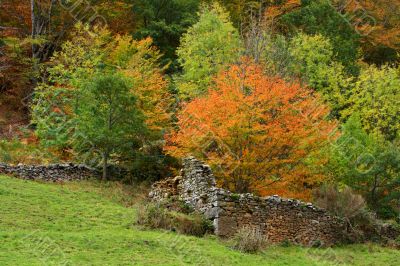 Old walls in autumn