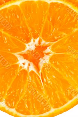 Orange slices closeup