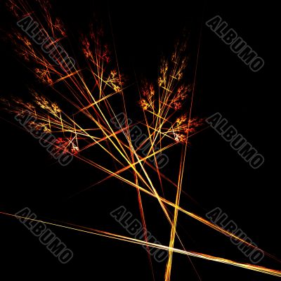 Fractal design
