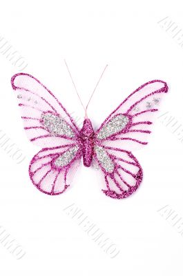 Pink butterfly