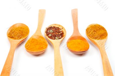 Spices in the spoons