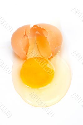 Cracked egg
