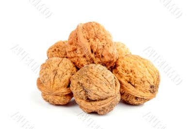 Walnuts