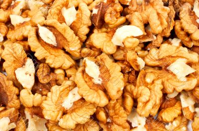 Walnuts background