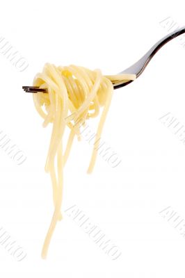 Rolled spaghetti on a fork