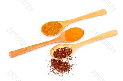 Spices in the spoons