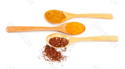 Spices in the spoons