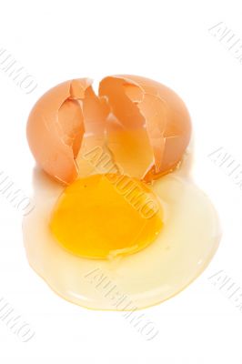 Broken egg