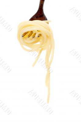 Rolled spaghetti on a fork