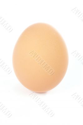 A single egg with shadow