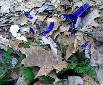 Shattered Bottle