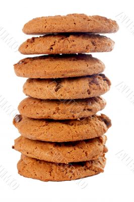 Stack of chocolate cookies
