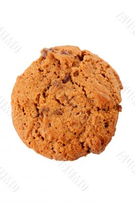 One chocolate cookie