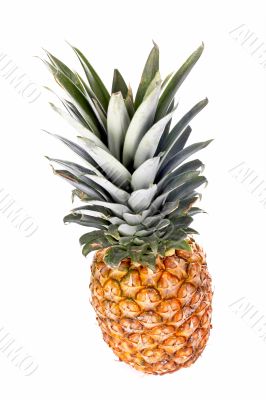 Colorful pineapple