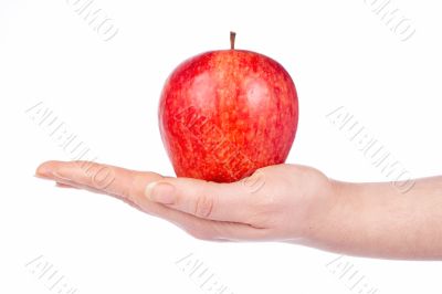 A red apple in the hand