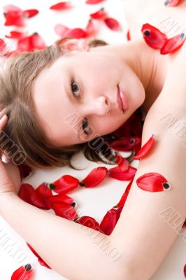 covered with petals