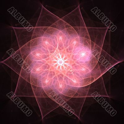 Fractal flower